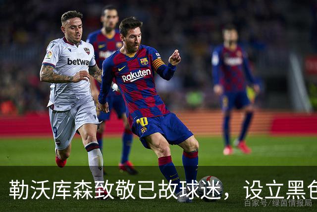 勒沃库森致敬已故球迷，设立黑色纪念座位以铭记热爱